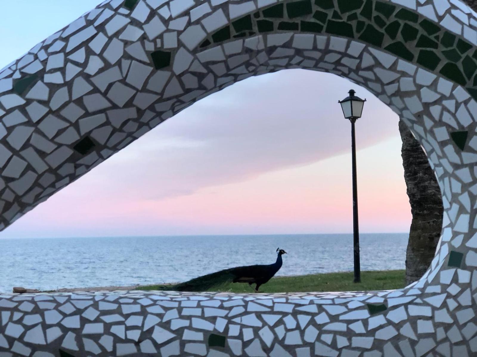 Apartament Regata Playa Oropesa del Mar Zewnętrze zdjęcie